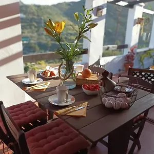 https://las-brujitas.in-canary-islands.com